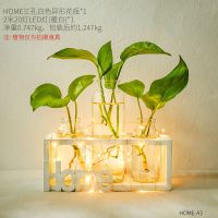北欧绿萝水培植物玻璃花瓶小清新客厅餐桌插花摆件办公室桌面装饰|HOME三孔白色花瓶-带灯
