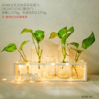 北欧绿萝水培植物玻璃花瓶小清新客厅餐桌插花摆件办公室桌面装饰|HOME五孔白色花瓶-带灯