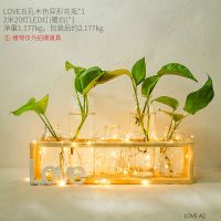 北欧绿萝水培植物玻璃花瓶小清新客厅餐桌插花摆件办公室桌面装饰|LOVE五孔花瓶-带灯