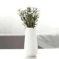 简约陶瓷花瓶家居饰品客厅摆件电视柜装饰品干花仿真花小花瓶D9|瑾萱白小号+
