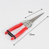 摘果剪园艺修枝剪稀果剪刀水果桔子蔬菜采摘葡萄剪子采果摘果剪。R6|带齿镀铬长直头满五送一