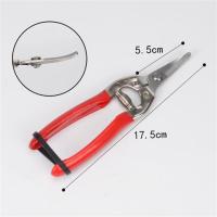 摘果剪园艺修枝剪稀果剪刀水果桔子蔬菜采摘葡萄剪子采果摘果剪。R6|带齿镀铬短翘头满五送一