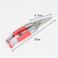 摘果剪园艺修枝剪稀果剪刀水果桔子蔬菜采摘葡萄剪子采果摘果剪。R6|锌合金长直头满五送一