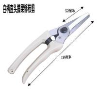 摘果剪园艺修枝剪稀果剪刀水果桔子蔬菜采摘葡萄剪子采果摘果剪。R6|白柄长直头满五送一