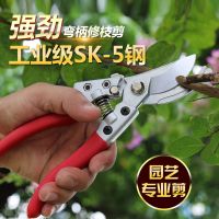 专业sk5钢 修枝剪树枝园林果树剪刀粗枝花剪省力树枝修花园艺剪刀P1