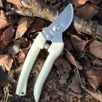 园林花木修剪绿篱剪园艺绿化草坪修枝剪工具篱笆剪树枝P3|242枝剪