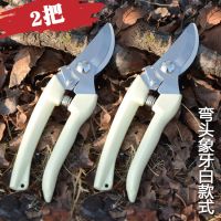 园林花木修剪绿篱剪园艺绿化草坪修枝剪工具篱笆剪树枝P3|弯头枝剪2把