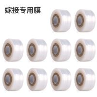 日本钢嫁接刀工具果树粗树芽接刀特种园艺嫁接神器修剪刀具|10卷嫁接膜