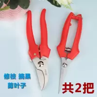 插花剪花艺剪刀专用插花鲜花修花剪枝剪刀花艺师专用家用园艺剪子|升级盆栽花草剪+果苗花苗剪