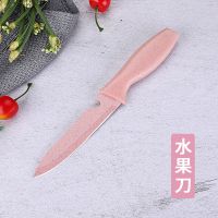 不锈钢菜刀防霉塑料迷你宿舍粘板家用厨房刀具切水果砧板组合套装N3|小麦柄果刀