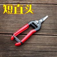 葡萄剪刀桔子剪摘果稀果翘头采果剪盆栽修枝树枝水果园艺工具神器F5|短直头