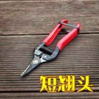 葡萄剪刀桔子剪摘果稀果翘头采果剪盆栽修枝树枝水果园艺工具神器F5|短翘头