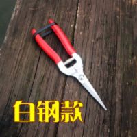 葡萄剪刀桔子剪摘果稀果翘头采果剪盆栽修枝树枝水果园艺工具神器F5|白钢款-长直头