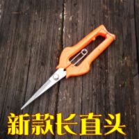葡萄剪刀桔子剪摘果稀果翘头采果剪盆栽修枝树枝水果园艺工具神器F5|新款长直头-带细齿