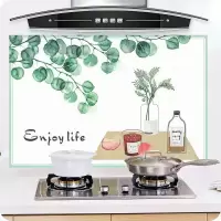 厨房用品小工具家居用品创意生活百货防油贴纸自粘耐具神器I2