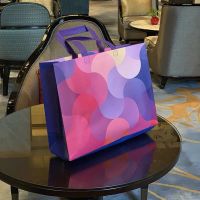 精品手提袋衣服覆膜无纺布袋服装店袋礼品衣服塑料包装袋N7|多彩 小号2个