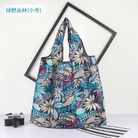 便携大容量市环保折叠收纳袋可水洗妈妈买菜包手提袋帆布I0|款[绿野] 中号[宽40*40]