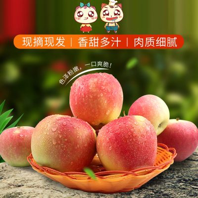 山西新鲜现摘红富士苹果正宗水果脆甜丑苹果带箱9.5斤-10斤整箱批发