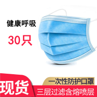 [48小时发货][正品30只装]一次性口罩 无纺熔喷布口罩 防护防尘