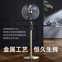 先锋落地扇 DLD-M9