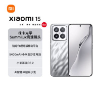 小米15 亮银版 16GB+1TB 骁龙8至尊 5G芯 专业徕卡三摄影像 90W小米澎湃快充 新一代小米旗舰