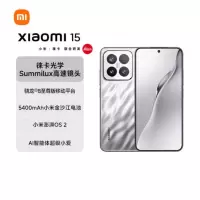 小米15 亮银版 12GB+256GB 骁龙8至尊 5G芯 专业徕卡三摄影像 90W小米澎湃快充 新一代小米旗舰