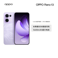 OPPO Reno13 16GB+1TB 蝶蝶紫 超美小直屏 AI高清实况照片 IP69满级防水 双芯抢网 拍照手机