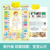 三字经挂图 有声全套4岁看图启蒙早教点读新版认知卡故事读书英语 猫咪款自我认识