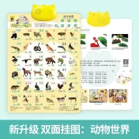 三字经挂图 有声全套4岁看图启蒙早教点读新版认知卡故事读书英语 银色猫咪款动物