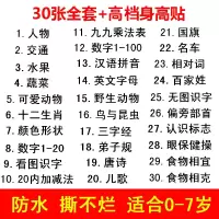 挂画看图识字启蒙认识物小孩幼儿童读物宝宝早教挂图贴图婴儿大 全套30张+高档身高贴送胶带