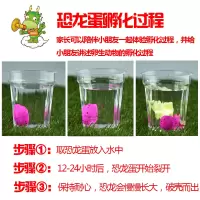 膨胀可能变孔龙大的泡在男生水里玩具孵化变形吸水恐龙蛋儿童 雨花大号A款24个4×5.5cm