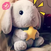 小兔子少女心生日女生公仔垂耳兔毛绒新款玩具布娃娃玩偶可爱 灰色抱五角星垂耳兔 65厘米