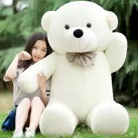 玩偶公仔生熊布娃布朗熊玩具送超大娃特大号女友毛绒2女1.8米巨型 米白色泰迪熊 1.2米