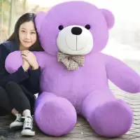玩偶公仔生熊布娃布朗熊玩具送超大娃特大号女友毛绒2女1.8米巨型 紫色泰迪熊 1米