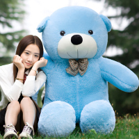 玩偶公仔生熊布娃布朗熊玩具送超大娃特大号女友毛绒2女1.8米巨型 天蓝色泰迪熊 1米