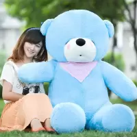玩偶公仔生熊布娃布朗熊玩具送超大娃特大号女友毛绒2女1.8米巨型 天蓝色瞌睡熊 1米