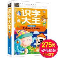 乖宝宝超右脑汉字生字小孩子文字识字卡3000字幼儿园小学拼音大全 275页[硬壳精装版]识字1442字