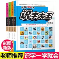 乖宝宝超右脑汉字生字小孩子文字识字卡3000字幼儿园小学拼音大全 幼儿学前常用1500字4册