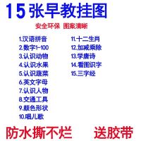 aoe儿童24个拼音字母表26个英文字母表挂图标准图读物汉字贴墙用 精选15张不重复(送胶带)