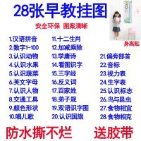 aoe儿童24个拼音字母表26个英文字母表挂图标准图读物汉字贴墙用 精选28张+身高贴（送胶带）