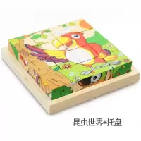 学习正方体动手玩具拼图俄罗斯方块塑料立体开发组装积木简单婴儿 16粒昆虫世界款