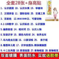 宝宝识字挂图数字拼音贴图动物幼儿园认识墙贴画认物挂贴宝贝儿童 I85-全28张早教挂图身高贴