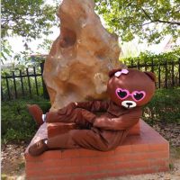 网红熊人偶服装熊本熊布朗熊人偶服装抖音发传单皮卡丘人偶行走装 红眼镜布朗熊 S