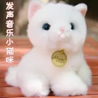 2020热卖新年可爱小白猫毛绒玩具公仔发声猫咪玩偶布娃娃儿童生日