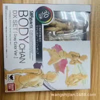 美术生福利SHF 男女素体 肌肤色/灰色 豪华版超可动 手办模型摆件 一代shf豪华肌夫女