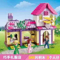 城市新年积木公主梦城堡儿童6拼装10-14岁以上智力积木玩具 粉红色巧手礼服店340片