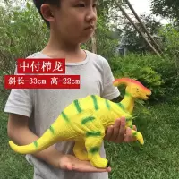 软胶超大号霸王三角腕翼龙模型儿童宝宝仿真动物恐龙塑胶硅胶玩具 中号副栉龙