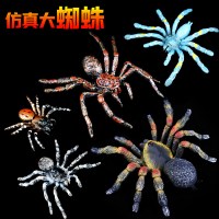 2020仿真昆虫动物蜘蛛玩具模型黑毒蜘蛛狼蛛整蛊吓人搞怪儿童认知 全款蜘蛛
