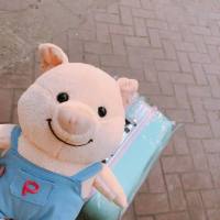 2020热卖抖音网红猪小屁超萌小猪公仔少女心女生节日呆萌 蓝色背带裤 55厘米