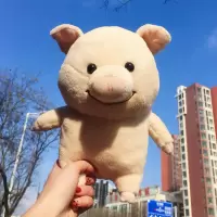 2020热卖抖音网红猪小屁超萌小猪公仔少女心女生节日呆萌 呆萌光身子 55厘米